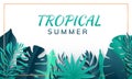 Tropical leaves frame. Summer background. Paper cut style. Vector illustration Royalty Free Stock Photo