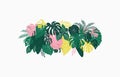 Tropical leaves horizontal composition. Exotic elements banner. Vector illustration