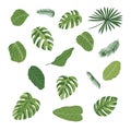 Tropical leaves icons set in cartoon style Royalty Free Stock Photo