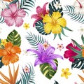 Tropical leaves, jungle leaves seamless vector floral pattern background Royalty Free Stock Photo