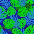 Tropical leaves, jungle monstera leaf seamless floral pattern background. Vector illustration, eps 10 Royalty Free Stock Photo