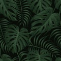 Tropical leaves, jungle leaves seamless vector floral pattern background Royalty Free Stock Photo