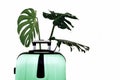 Tropical leaves luggage big bag green white background pot travel suitcase baggage black isolated