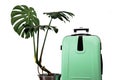 Tropical leaves luggage big bag green white background pot travel suitcase baggage black isolated