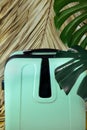 Tropical leaves luggage big bag green white background pot travel suitcase baggage black isolated