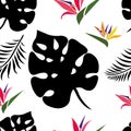 Tropical leaves of monstera, black fern and bright strelitzia flowers seamless pattern on a white background Royalty Free Stock Photo