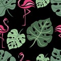 Tropical leaves Monstera green and flamingo seamless pattern on a black background. Design suitable for textile, wallpaper, summer Royalty Free Stock Photo