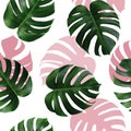 Tropical leaves monstera,green leaf with pink shadow on white background.Monstera seamless pattern colorful illustration pink leaf