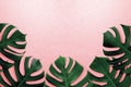 Tropical leaves monstera,green leaf,shadow on pink summer background.Flat lay,top view pastel color illustration tropical exotic l