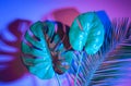 Tropical leaves Monstera and palm in vibrant bold gradient holographic colors. Concept art. Minimal surrealism