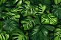 tropical leaves monstera pattern generative AI