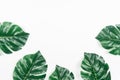 Tropical leaves Monstera on White background. Flat lay, top view