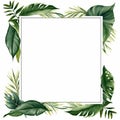 tropical leaves and palm fronds in a square frame on a white background Royalty Free Stock Photo