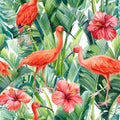 Tropical leaves palm, hibiscus flowers and ibis birds on an isolated background. Watercolor seamless pattern Royalty Free Stock Photo