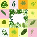 Tropical leaves palm summer exotic jungle green leaf vector illustration Royalty Free Stock Photo