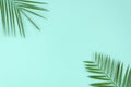 Tropical leaves palm tree on a blue background with space for text. Top view banner for travel agency Royalty Free Stock Photo