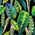 Tropical leaves paradise background