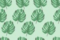 Tropical leaves pattern, jungle leaves seamless vector floral pattern. Royalty Free Stock Photo