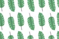 Tropical leaves pattern, jungle leaves seamless vector floral pattern Royalty Free Stock Photo
