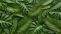 Tropical Leaves Pattern Background with Monstera and Palm Created With Generative AI Royalty Free Stock Photo