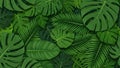 Tropical Leaves Pattern Background with Monstera Plants - Vector Created With Generative AI Royalty Free Stock Photo