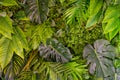 Tropical leaves pattern. Green leaf exotic plants seamless on a dark jungle background. Artistic photo collage for