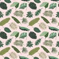 Tropical leaves pattern, monstera, palm tree and banana leaf illustration on pink background, botanical seamless repeat Royalty Free Stock Photo