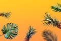 Tropical leaves pattern with pineapple color background.Nature