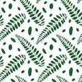 Tropical leaves pattern. Seamless vector pattern with with green acacia leaf Royalty Free Stock Photo