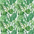 Tropical leaves pattern. Seamless watercolor herbal pattern with monstera leaf, tropic palm, acacia for textile and design