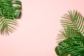 Tropical leaves on pink background.