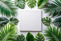Tropical leaves is placed on a white canvas with part of the leaf layout and copy space Royalty Free Stock Photo