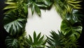 Tropical leaves and plants frame a blank white board, AI Royalty Free Stock Photo