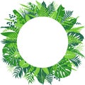 Tropical Leaves Round Frame Royalty Free Stock Photo