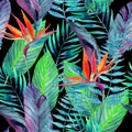 Tropical leaves seamless pattern. Floral design background. Royalty Free Stock Photo