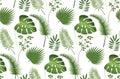 Tropical leaves seamless pattern. Floral jungle background