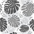 Tropical leaves seamless pattern, Monstera leaf. Vector monochrome tropical background Royalty Free Stock Photo