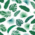 Tropical leaves seamless pattern Royalty Free Stock Photo