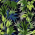 tropical leaves seamless summer watercolor pattern Royalty Free Stock Photo