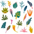 Tropical leaves set. Collection of various abstract tropical leaves. Perfect for the design of postcards, decorations for posters Royalty Free Stock Photo