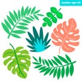 Tropical leaves set Royalty Free Stock Photo