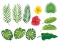 Tropical leaves set Royalty Free Stock Photo