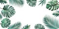 Tropical leaves set with white copy space background.Nature Royalty Free Stock Photo