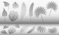 Tropical leaves shadow overlay templates, a vector set of various jungle leaf realistic shadows isolated on transparency grid