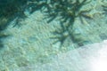 Tropical leaves shadow on the surface of swimming pool Royalty Free Stock Photo