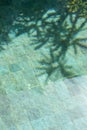 Tropical leaves shadow on the surface of swimming pool Royalty Free Stock Photo