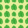 Tropical leaves summer jungle green palm leaf exotic seamless pattern hawaii monstera botanical flora vector Royalty Free Stock Photo