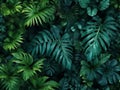 ornamental plants backdrop. Tropical leaves texture background, green floral pattern in jungle, illustration, generative AI Royalty Free Stock Photo