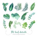 Tropical leaves vector big collection. Exotic islands greenery