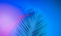 Tropical leaves in vibrant bold gradient holographic neon colors